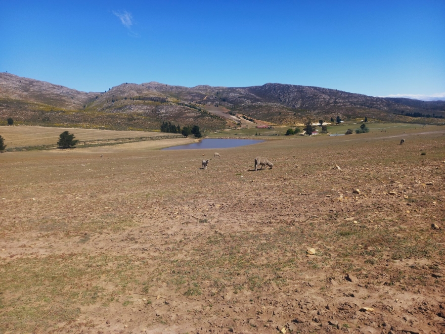 0 Bedroom Property for Sale in Uniondale Rural Western Cape